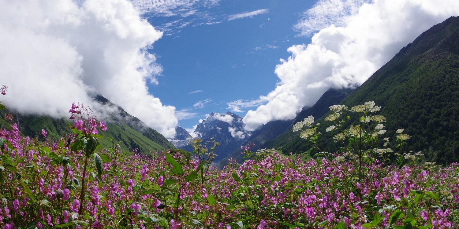 世界遺産をめぐる旅 インド編 雨季にシーズンを迎える天然の絶景 花の谷国立公園 Valley Of Flowers In ウッタラカント州 まとめ グローバルチャレンジ